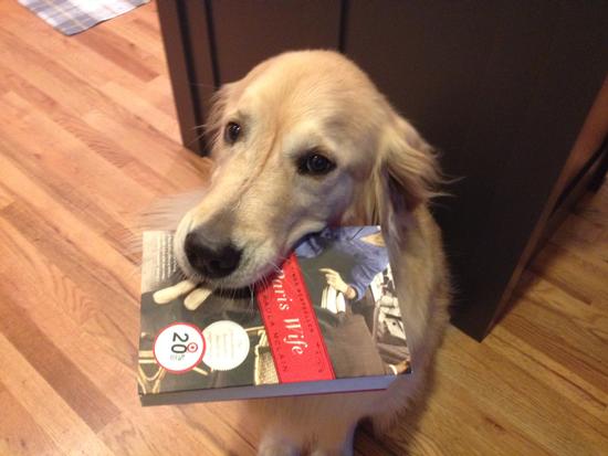 Photo: Request List Retriever